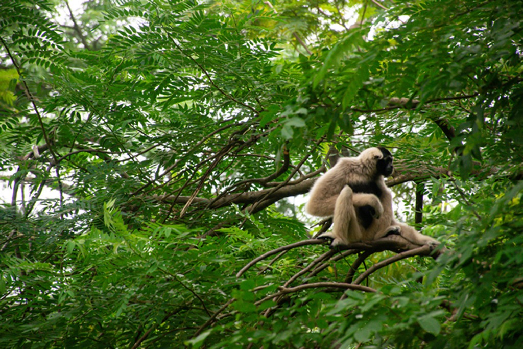 6-Day Zanzibar Luxury Retreat