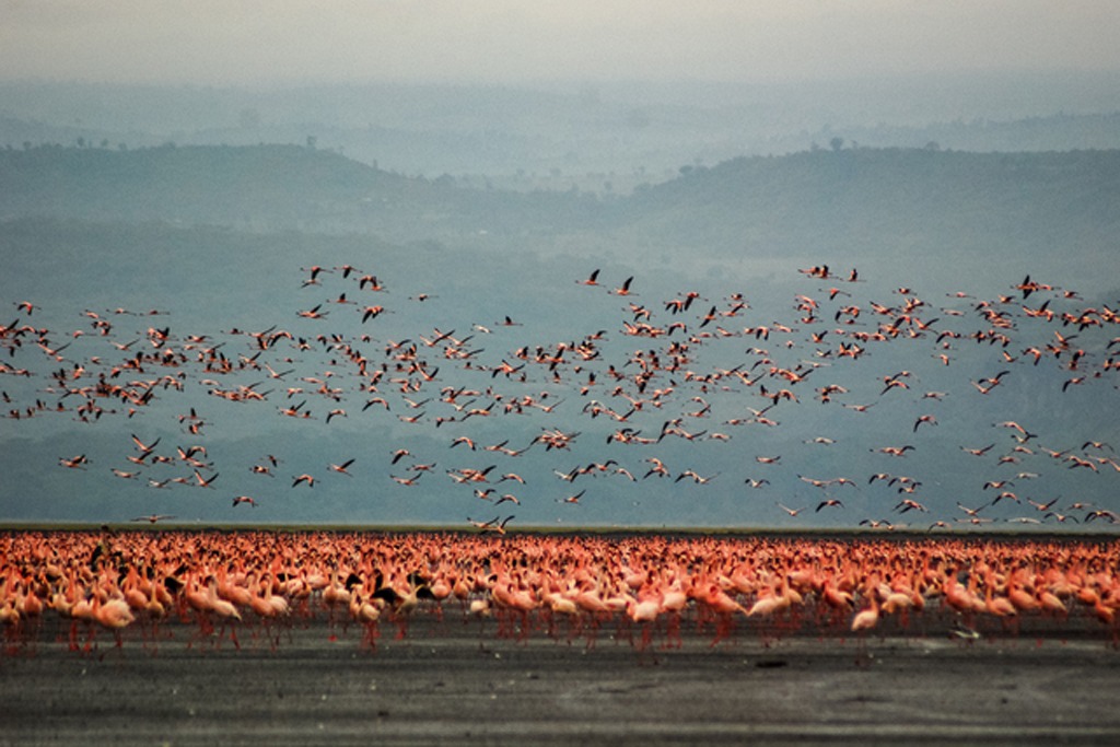 2 Days mid range honeymooners